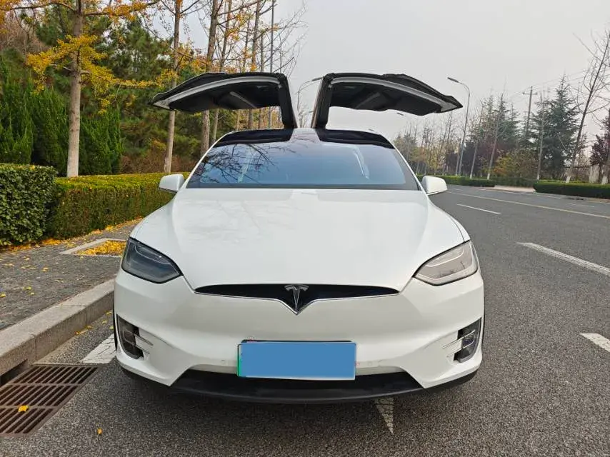 2019 TESLA MODEL thumbnail 2