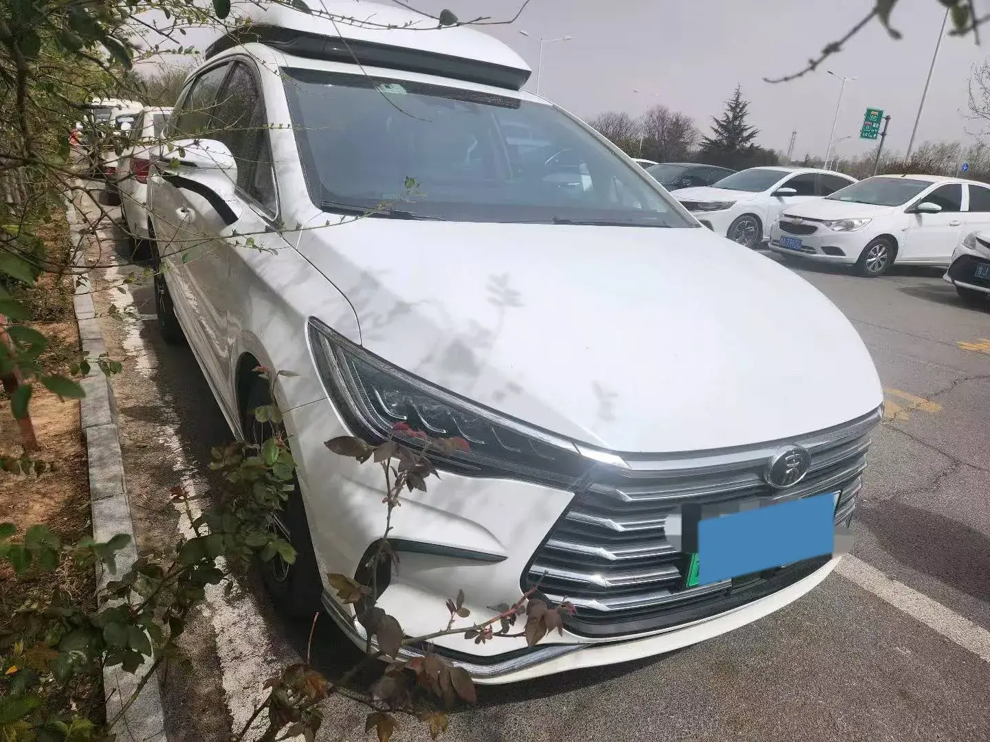 2022 BYD SONG thumbnail 3