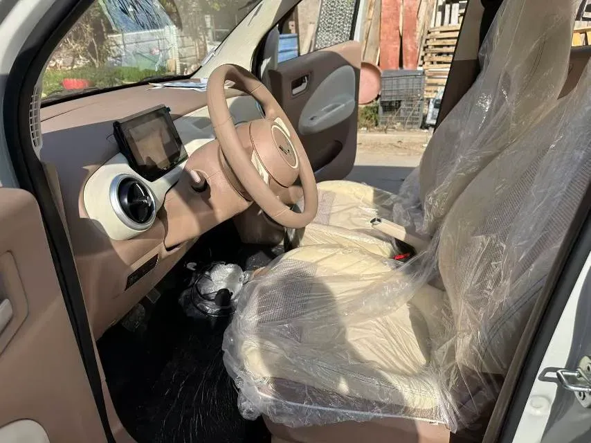 2025 WuLing HongGuang MINI EV BEV 16.2KWH,autocango,china used car exporter,china ev exporter,chinese used car exporter,chinese used ev exporter