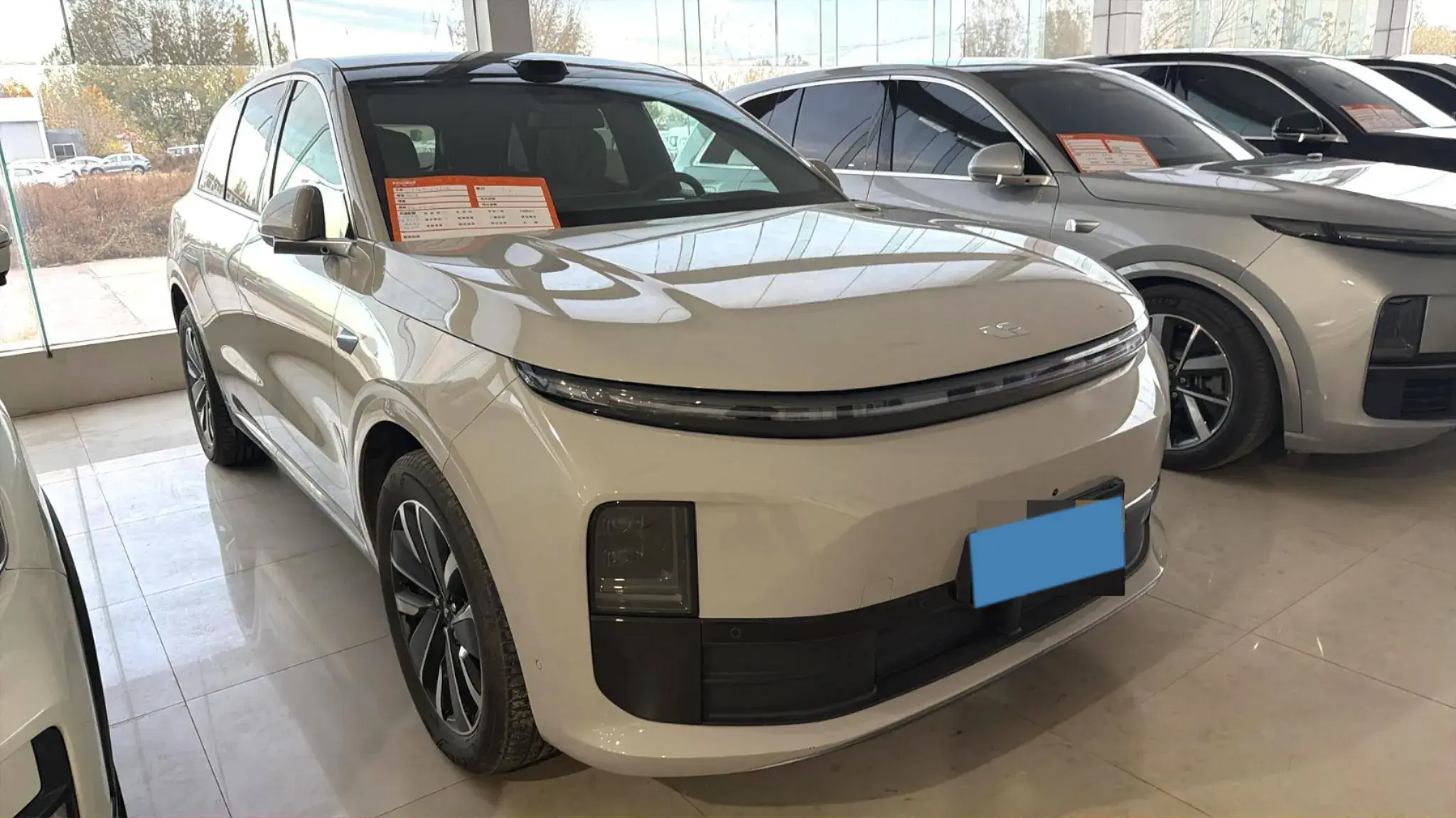 2025 LI L6 thumbnail 2