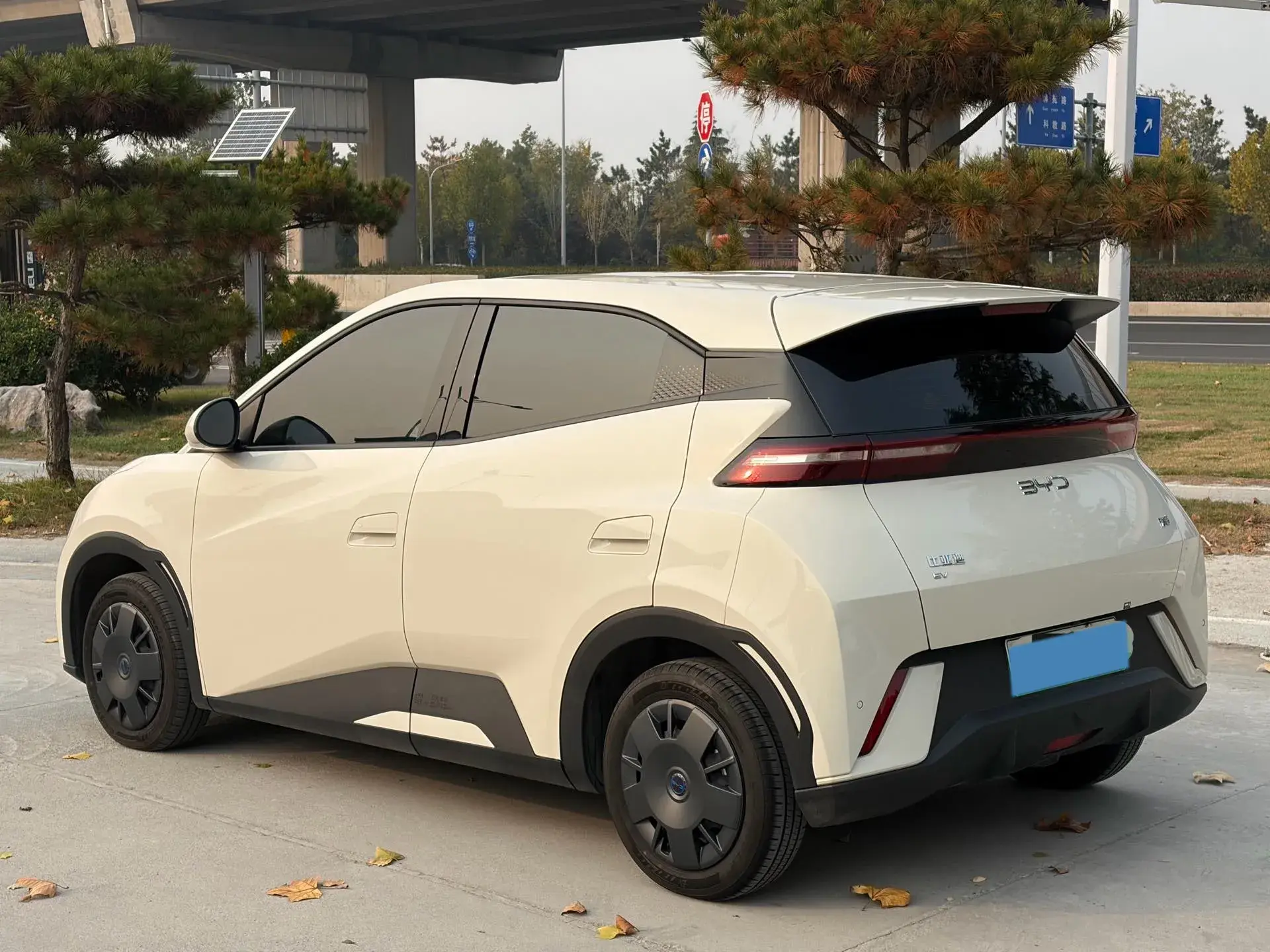 2025 BYD SEAGULL thumbnail 2