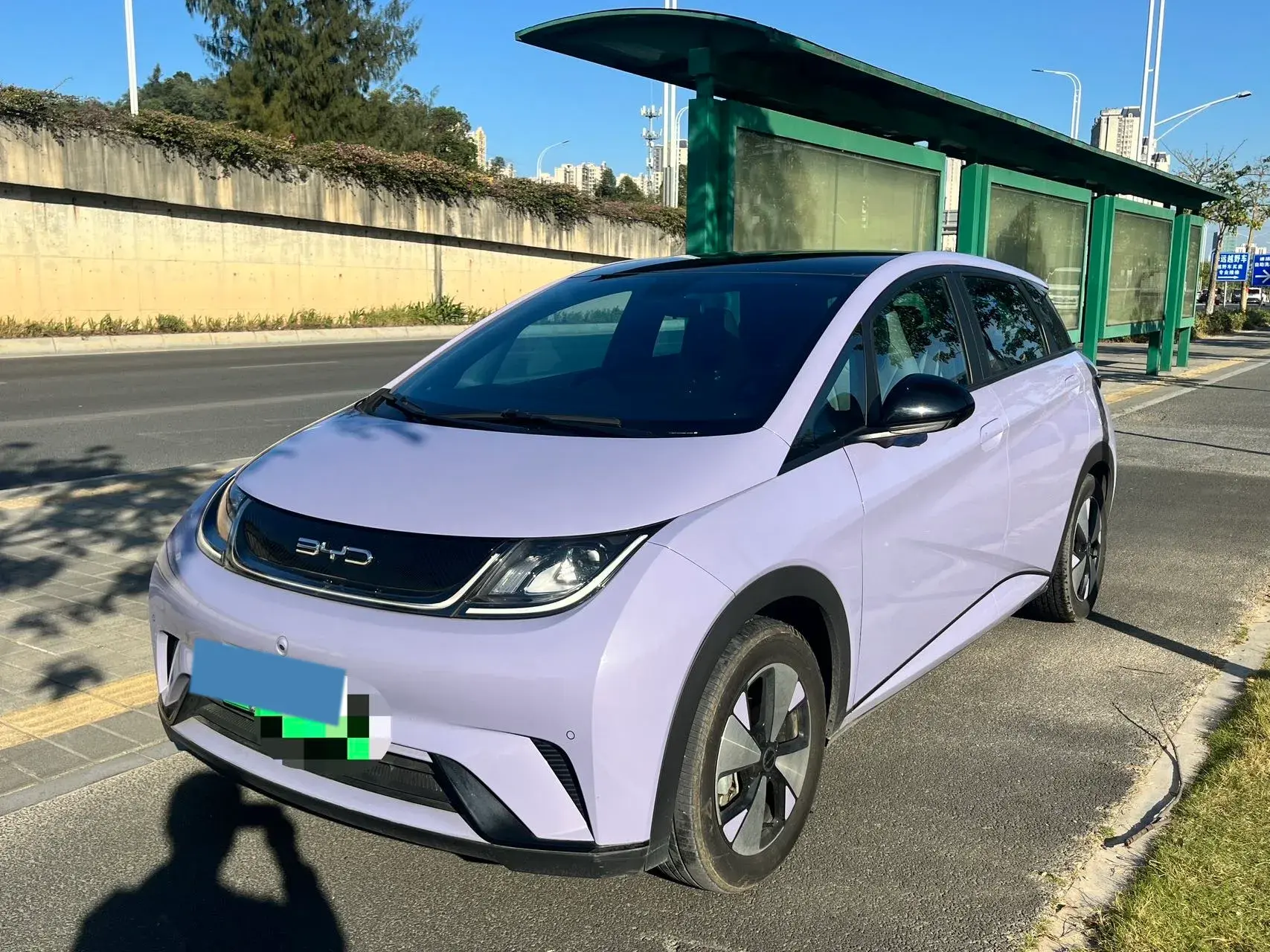 2023 BYD DOLPHIN view 1