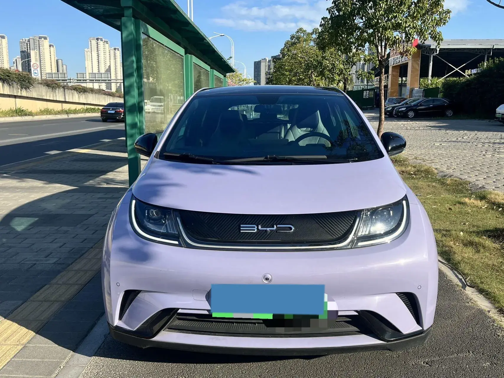 2023 BYD DOLPHIN thumbnail 2