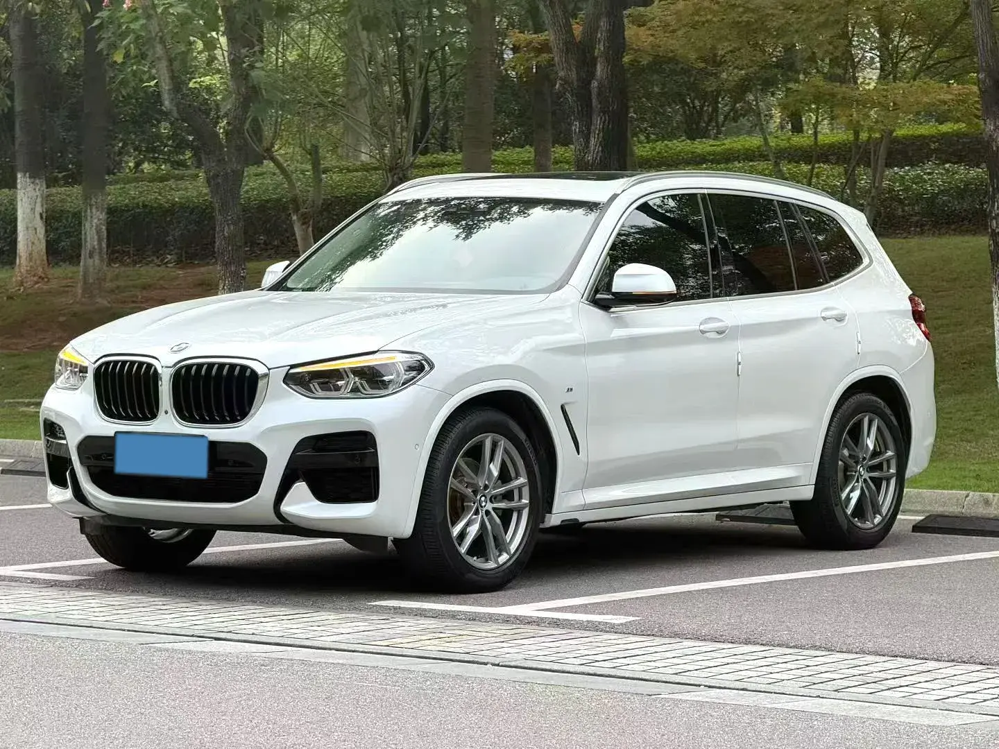 2020 BMW X3 view 1