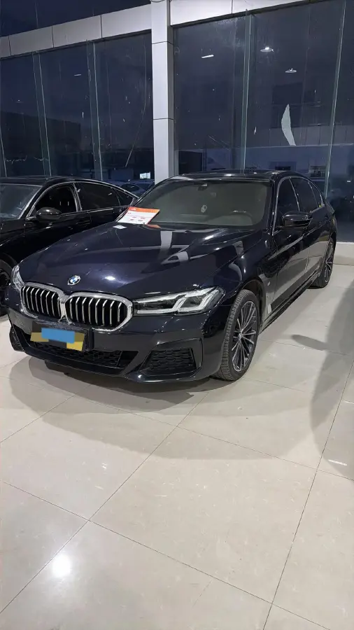 2021 BMW 5 Series 2.0T 252HP L4 8AT 2021 BMW 5 Series 2.0T 252HP L4 8AT