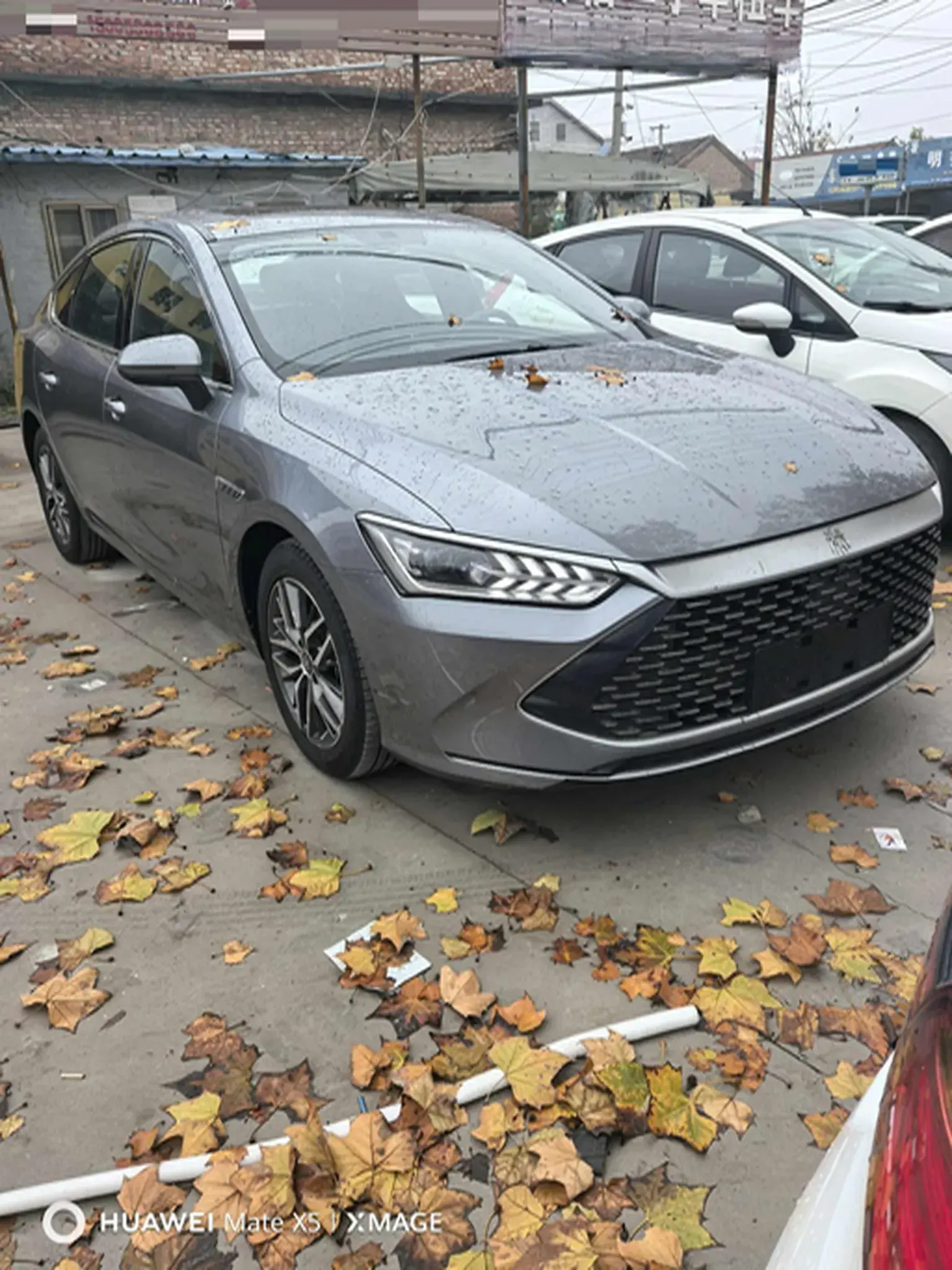 2021 BYD QIN thumbnail 2