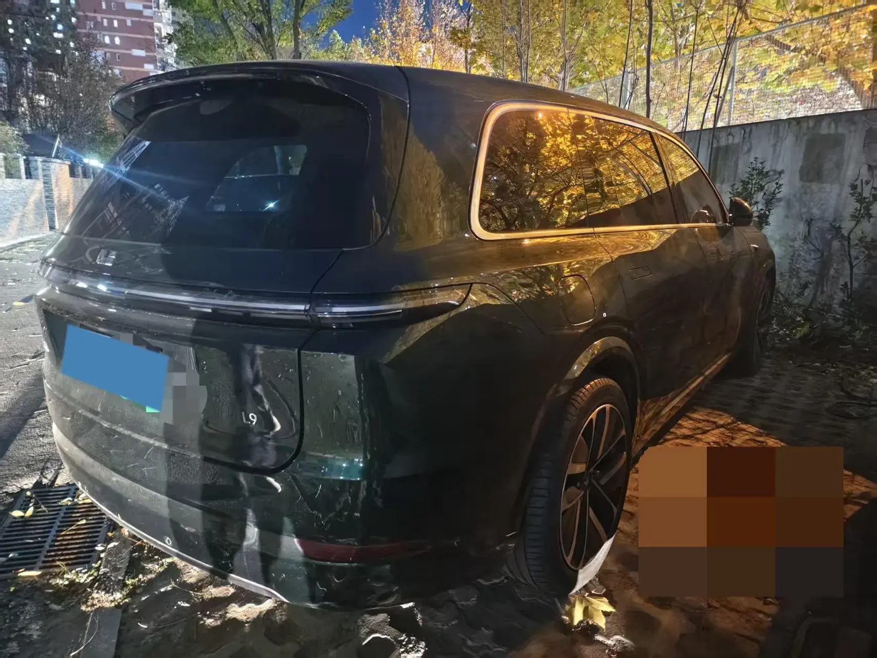 2022 LI L9 thumbnail 4