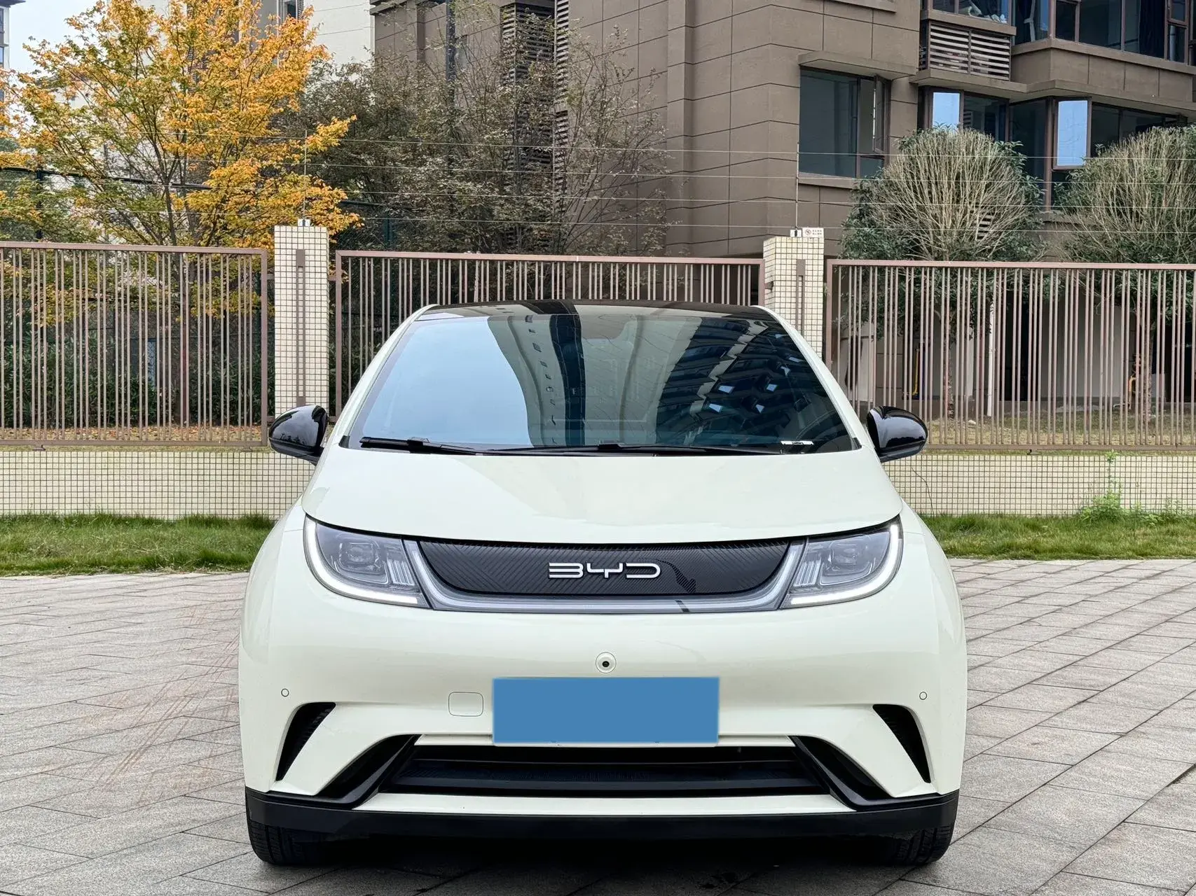 2023 BYD DOLPHIN thumbnail 2