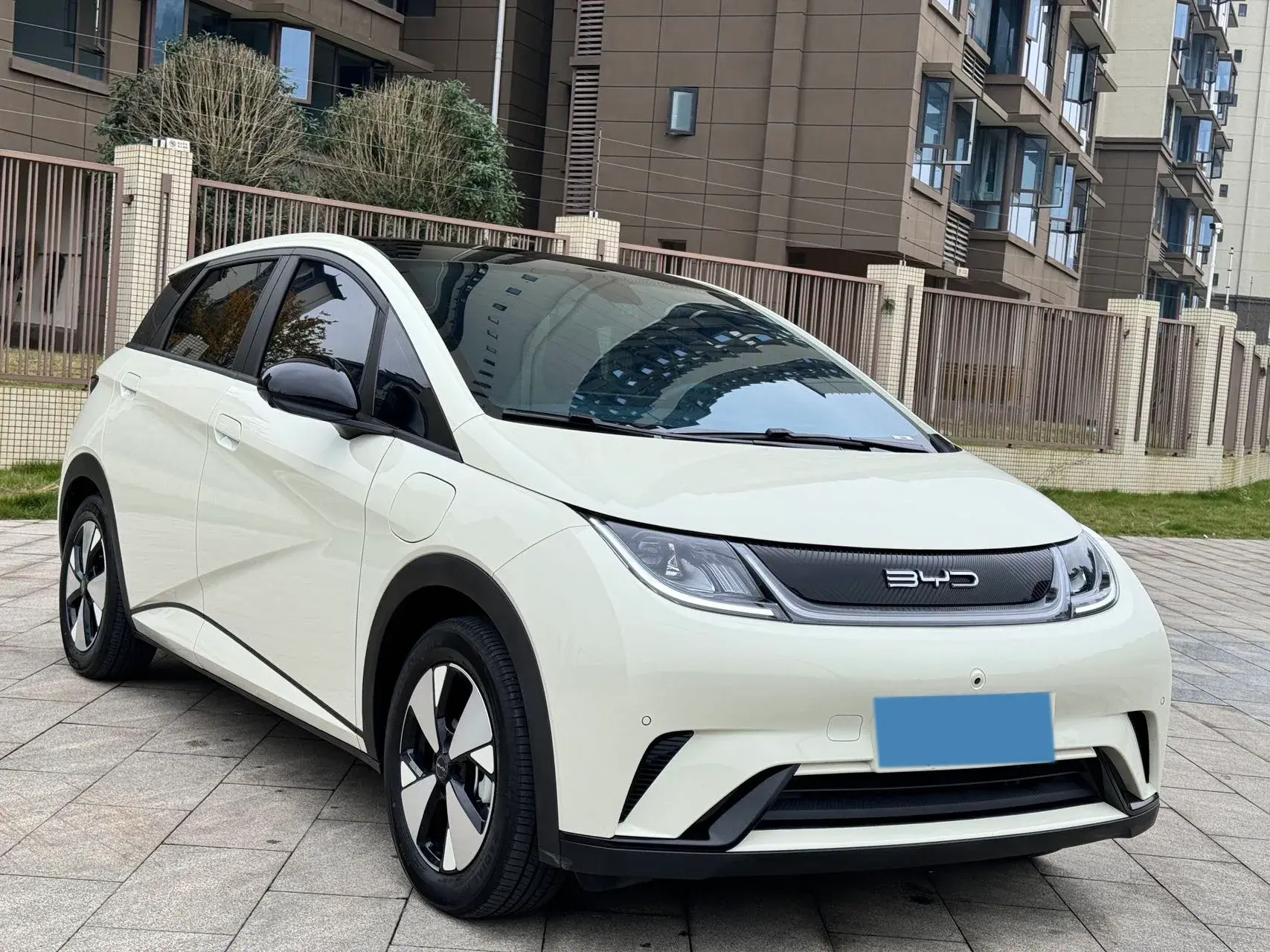 2023 BYD DOLPHIN thumbnail 3