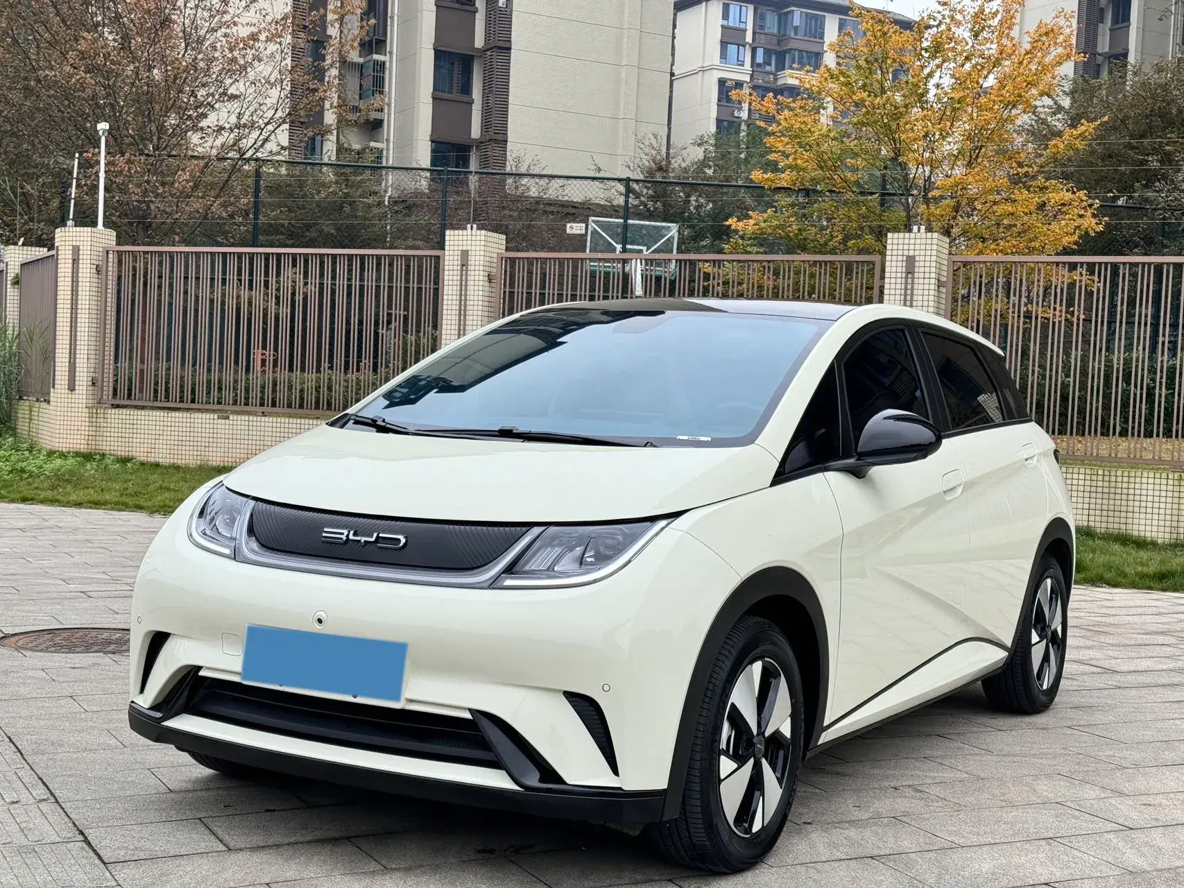 2023 BYD DOLPHIN view 1