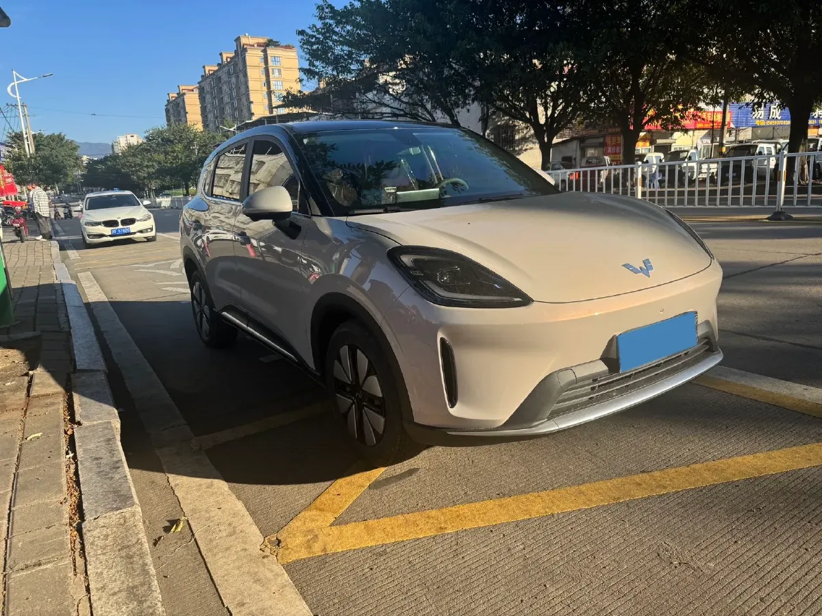 2025 WuLing BinGuo S BEV,autocango,china used car exporter,china ev exporter,chinese used car exporter,chinese used ev exporter