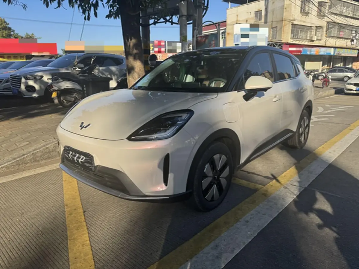 2025 WuLing BinGuo S BEV