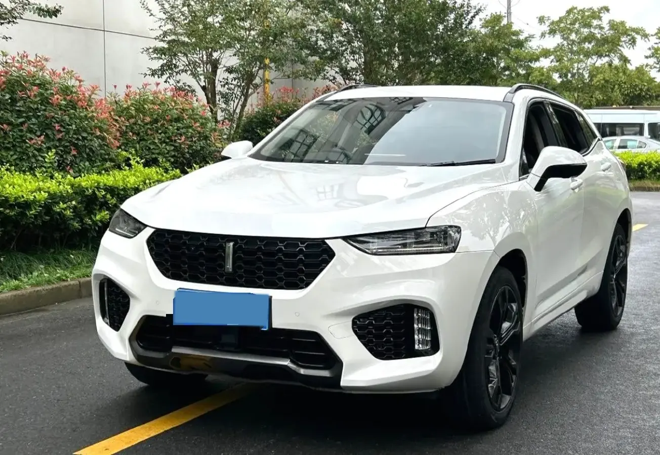 2019 WEY VV7 2.0T 227HP L4 7DCT