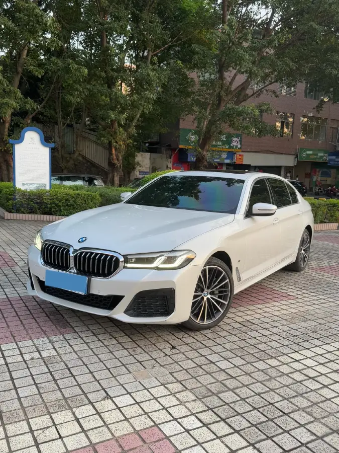 2022 BMW 5 Series 2.0T 252HP L4 8AT