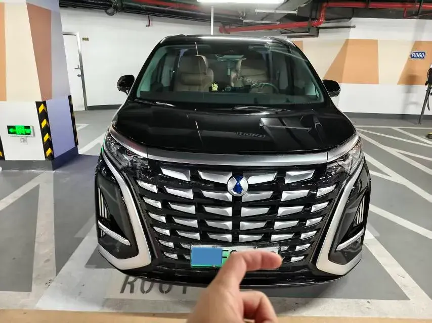 2022 DENZA D9 thumbnail 2