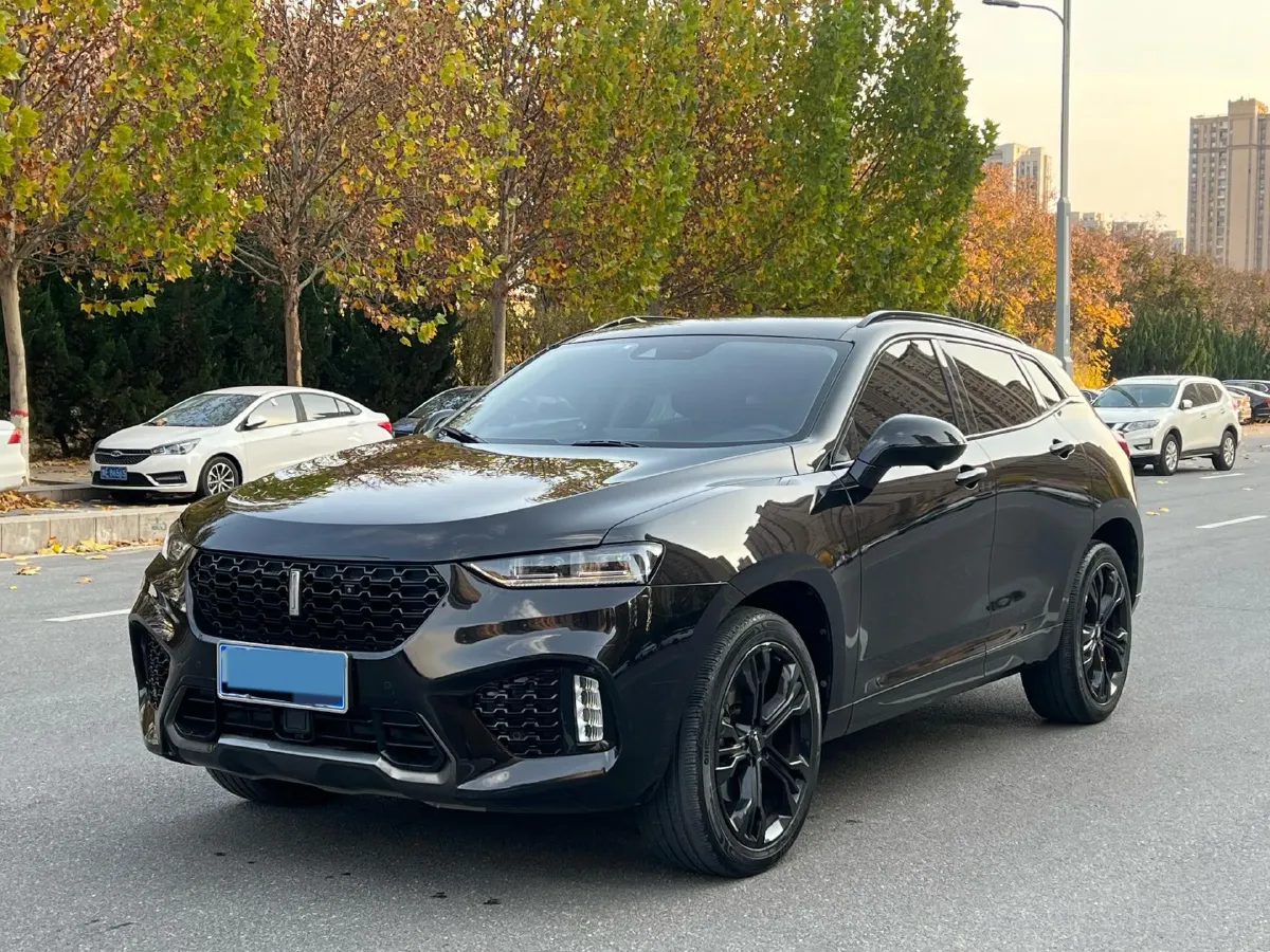 2019 WEY VV7 2.0T 227HP L4 7DCT,autocango,china used car exporter,china ev exporter,chinese used car exporter,chinese used ev exporter