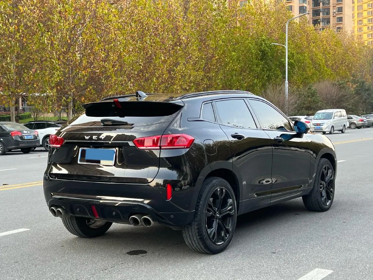 2019 WEY VV7 2.0T 227HP L4 7DCT,autocango,china used car exporter,china ev exporter,chinese used car exporter,chinese used ev exporter