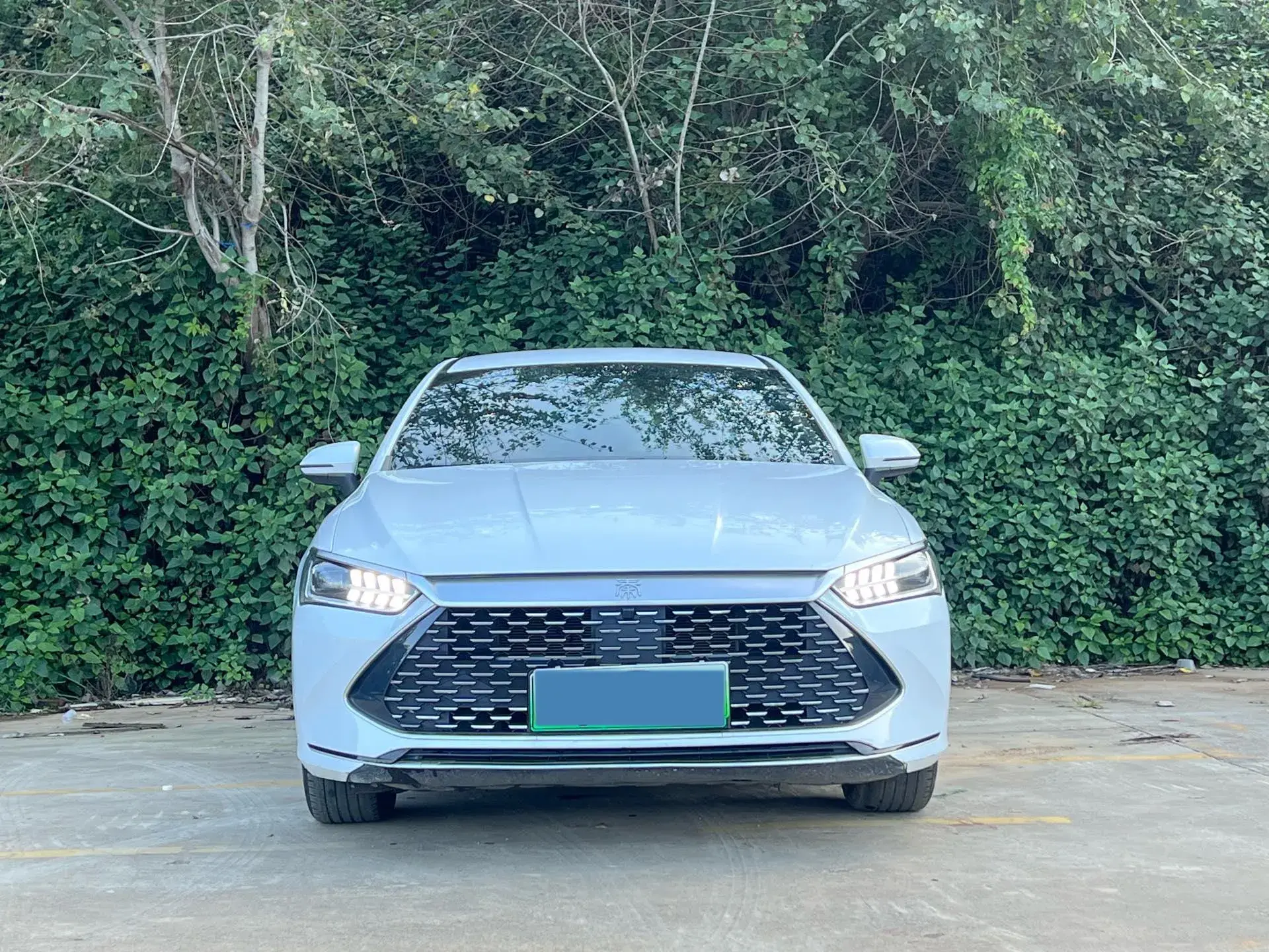 2024 BYD QIN thumbnail 2