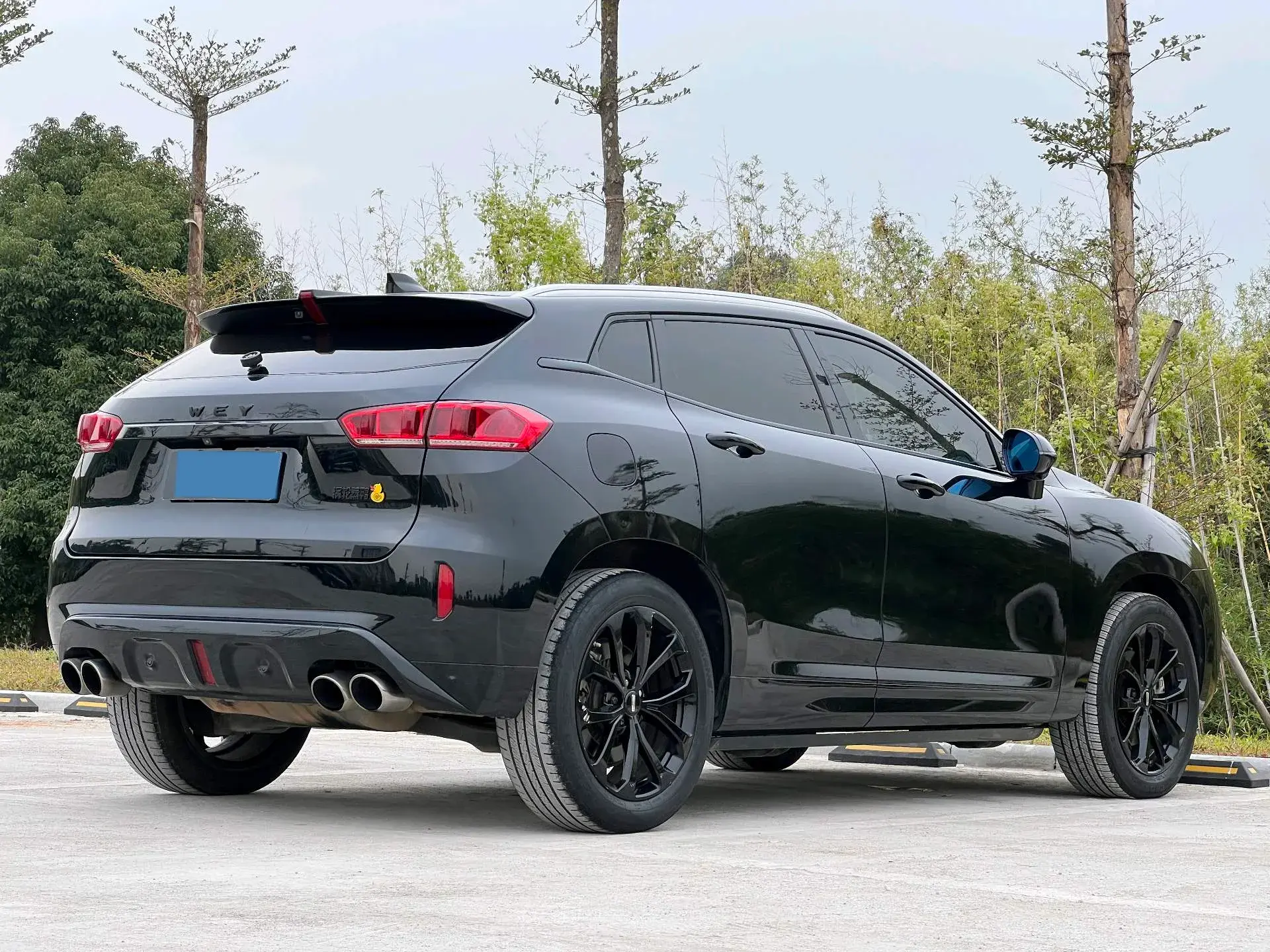 2019 WEY VV7 thumbnail 3