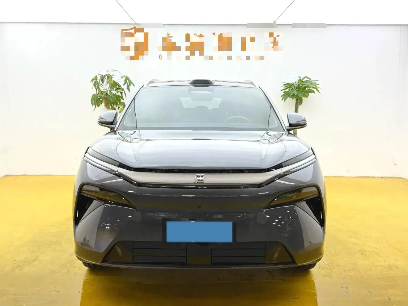 2025 BYD TANGL thumbnail 2