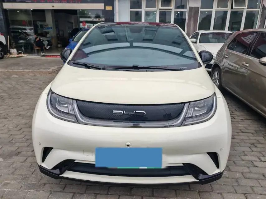 2023 BYD DOLPHIN thumbnail 2