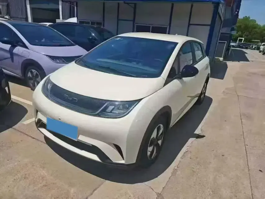 2025 BYD DOLPHIN view 1