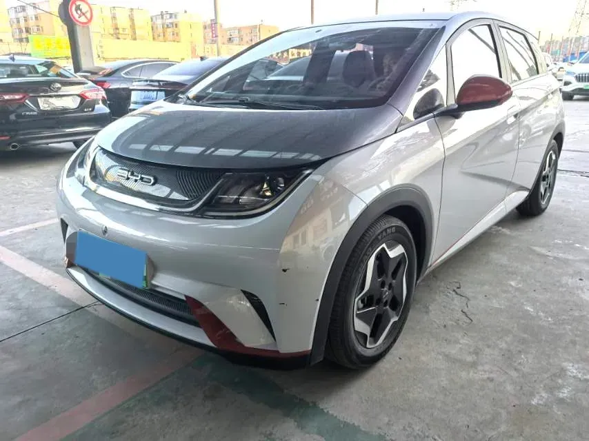 2021 BYD Dolphin BEV 44.9KWH,autocango,china used car exporter,china ev exporter,chinese used car exporter,chinese used ev exporter