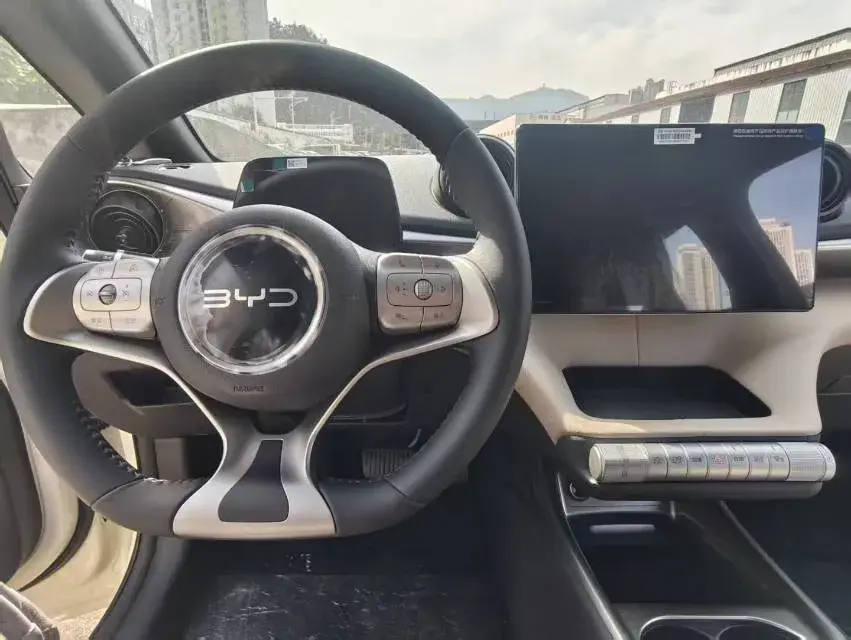 2025 BYD DOLPHIN thumbnail 4