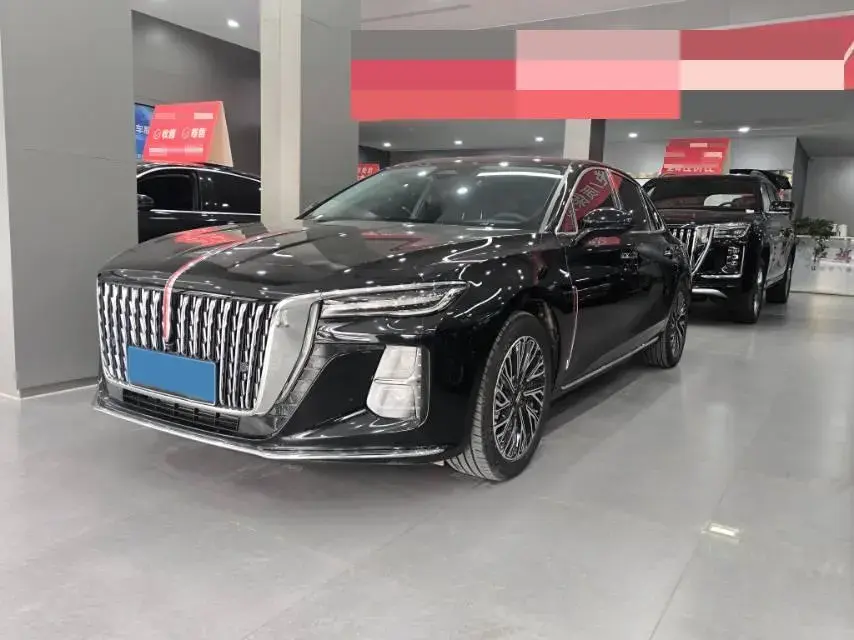 2024 HONGQI H5 view 1