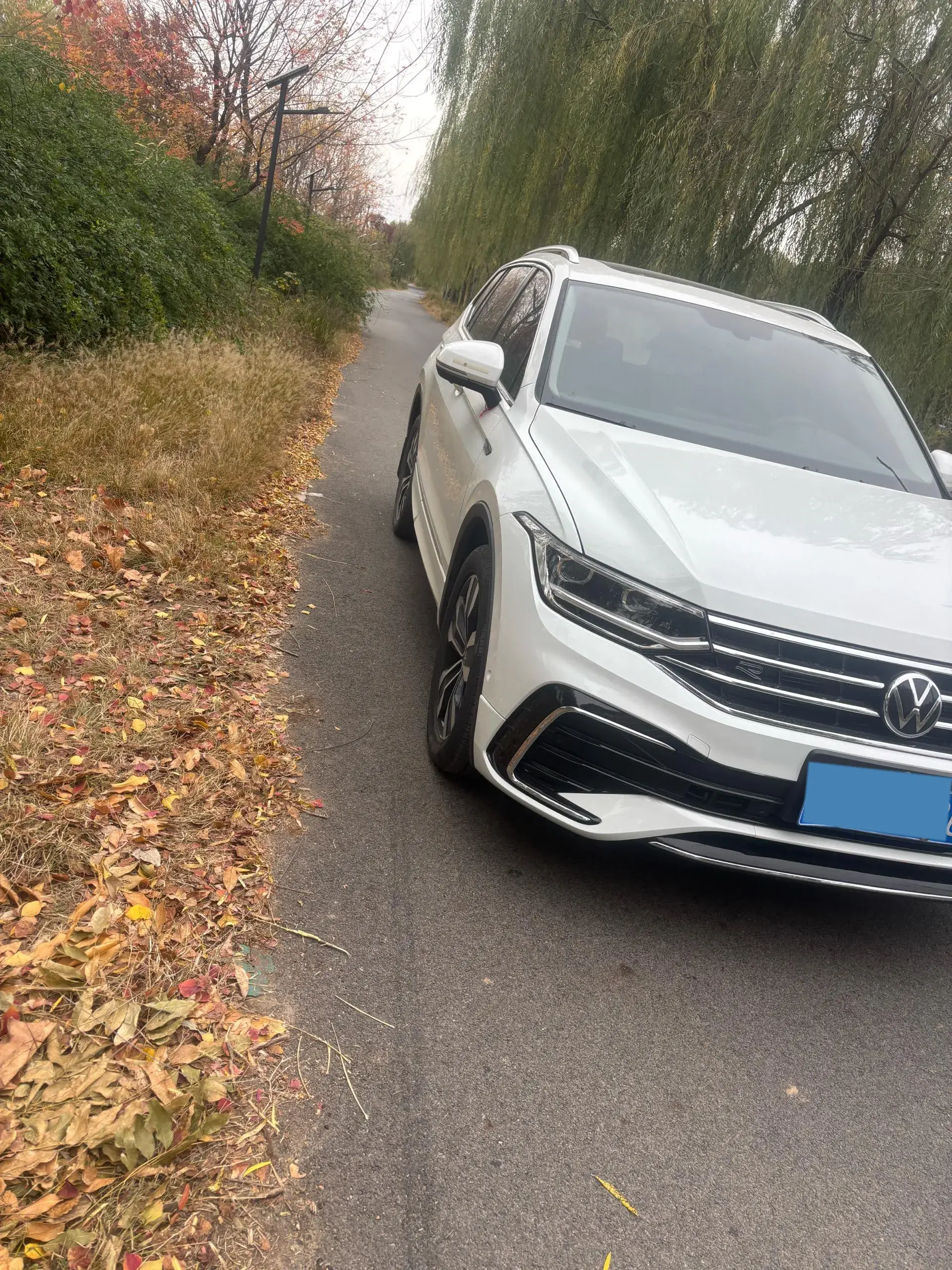 2024 VOLKSWAGEN TIGUAN thumbnail 2