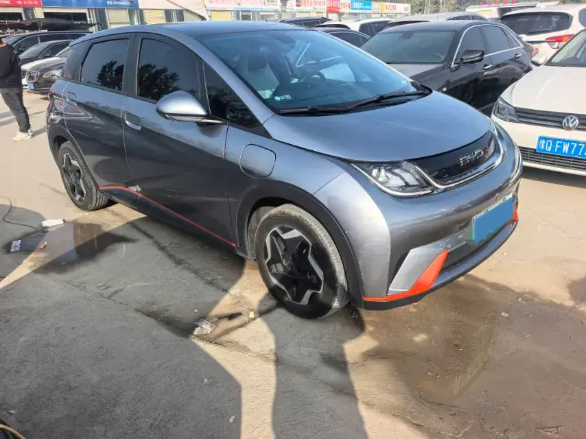 2021 BYD DOLPHIN thumbnail 3