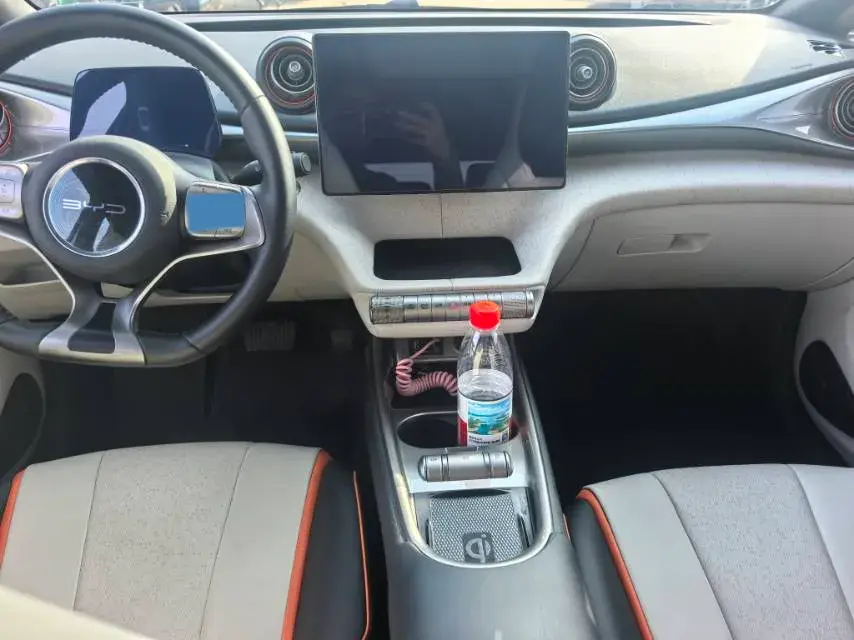 2021 BYD DOLPHIN thumbnail 4