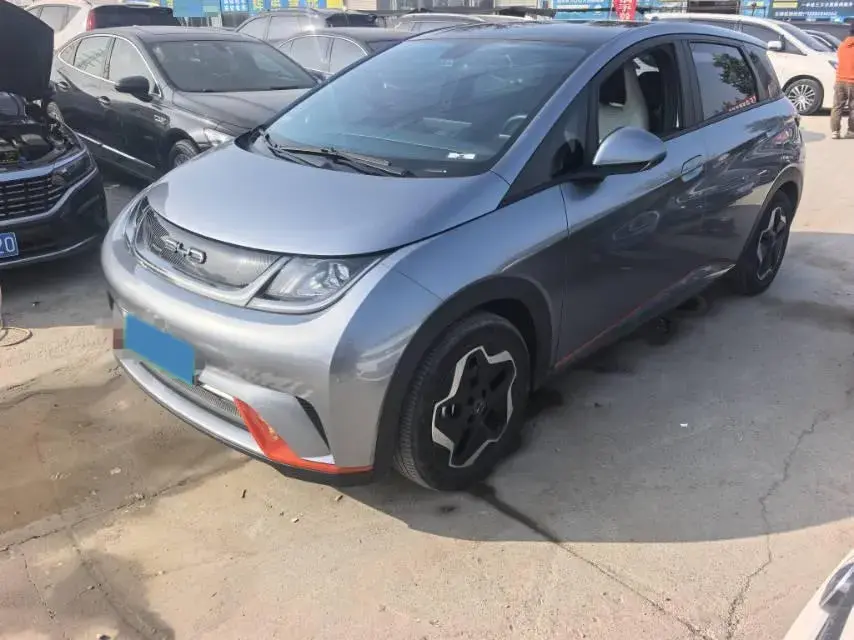 2021 BYD DOLPHIN view 1