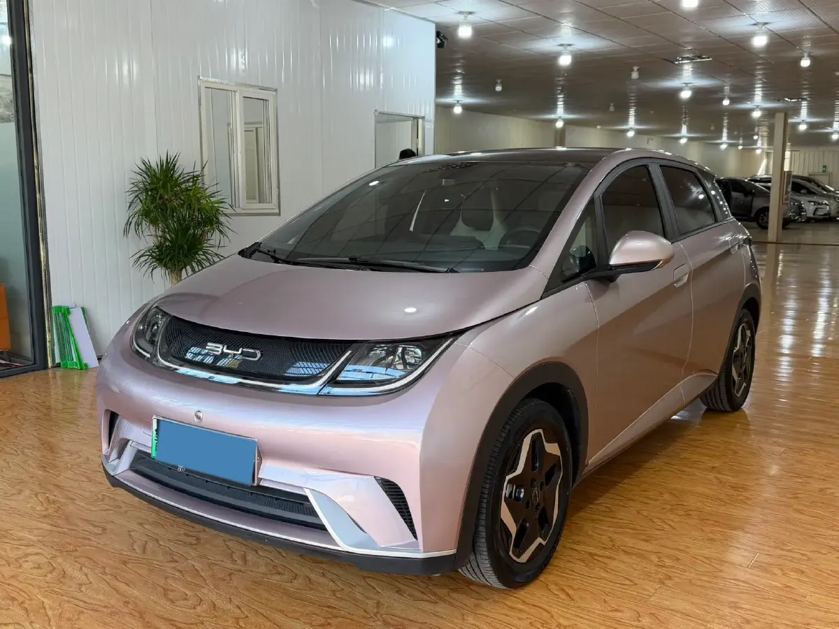 2021 BYD Dolphin BEV 44.9KWH