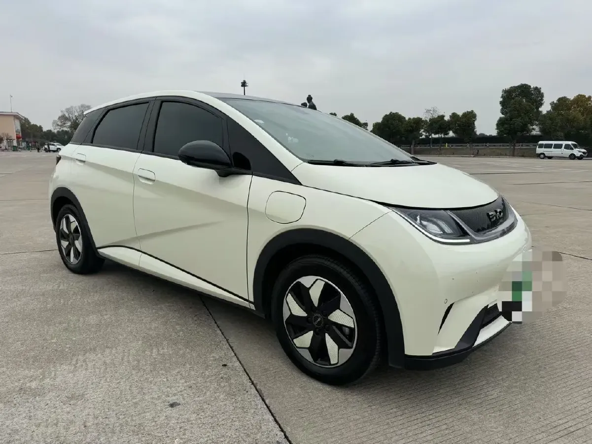 2024 BYD Dolphin BEV 44.928KWH,autocango,china used car exporter,china ev exporter,chinese used car exporter,chinese used ev exporter