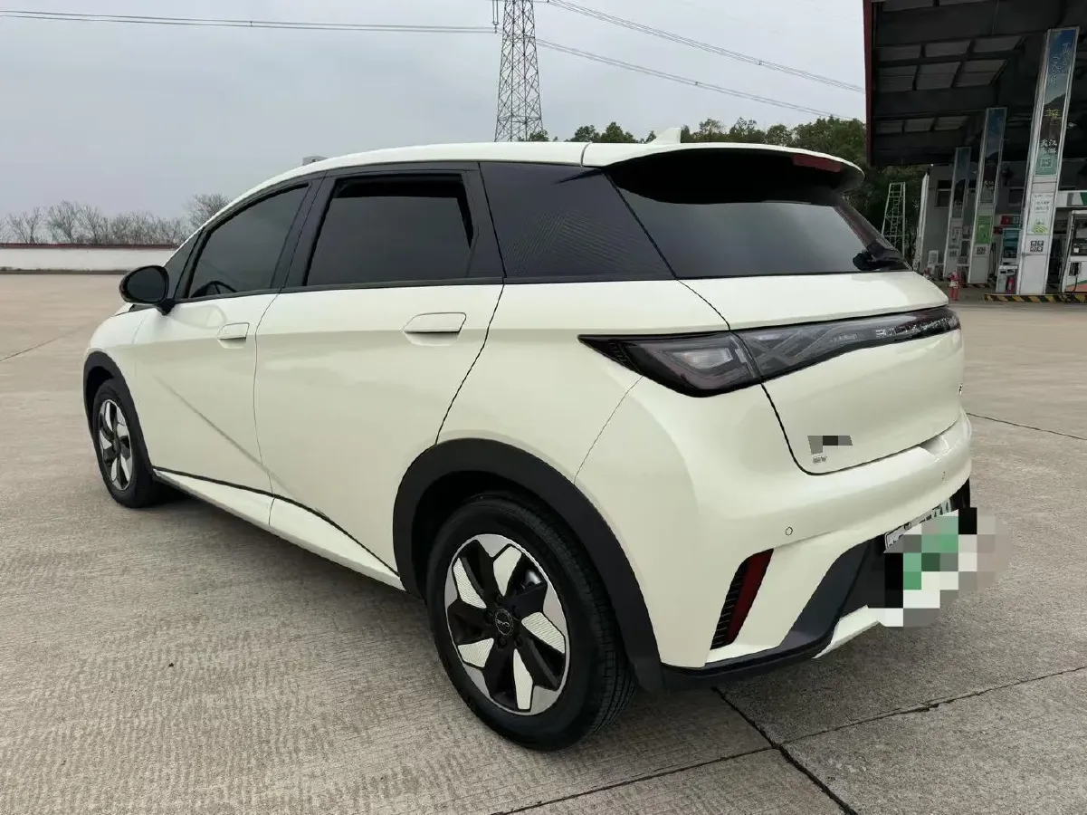 2024 BYD Dolphin BEV 44.928KWH,autocango,china used car exporter,china ev exporter,chinese used car exporter,chinese used ev exporter