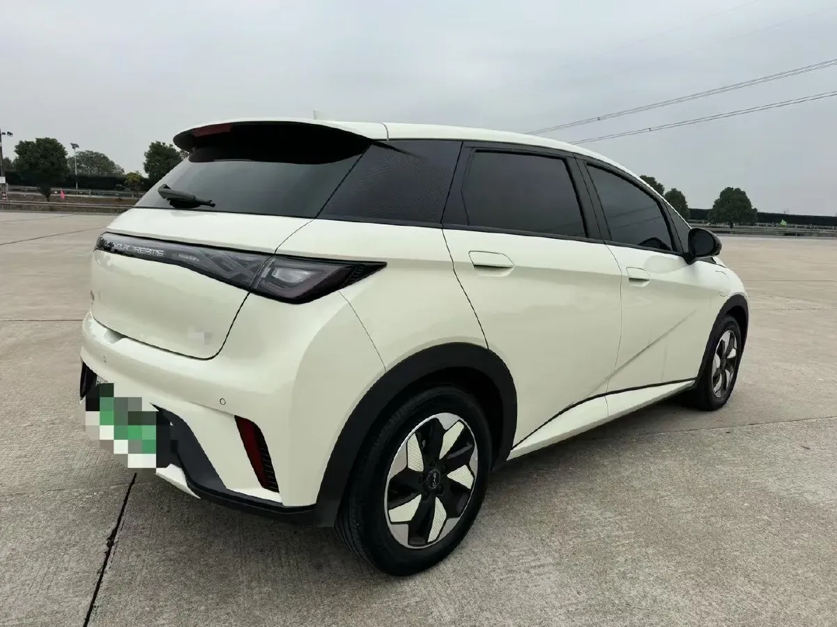 2024 BYD Dolphin BEV 44.928KWH,autocango,china used car exporter,china ev exporter,chinese used car exporter,chinese used ev exporter