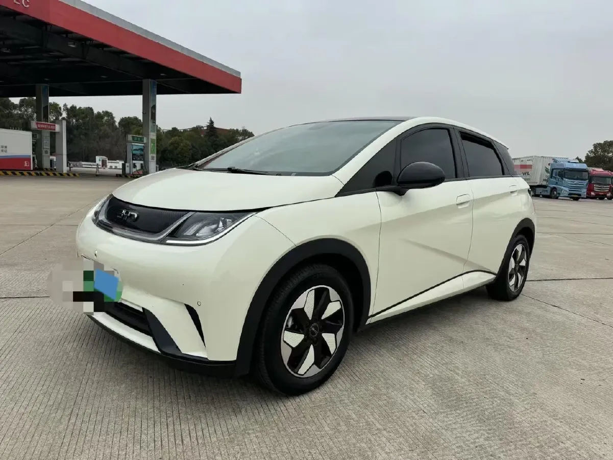 2024 BYD Dolphin BEV 44.928KWH,autocango,china used car exporter,china ev exporter,chinese used car exporter,chinese used ev exporter
