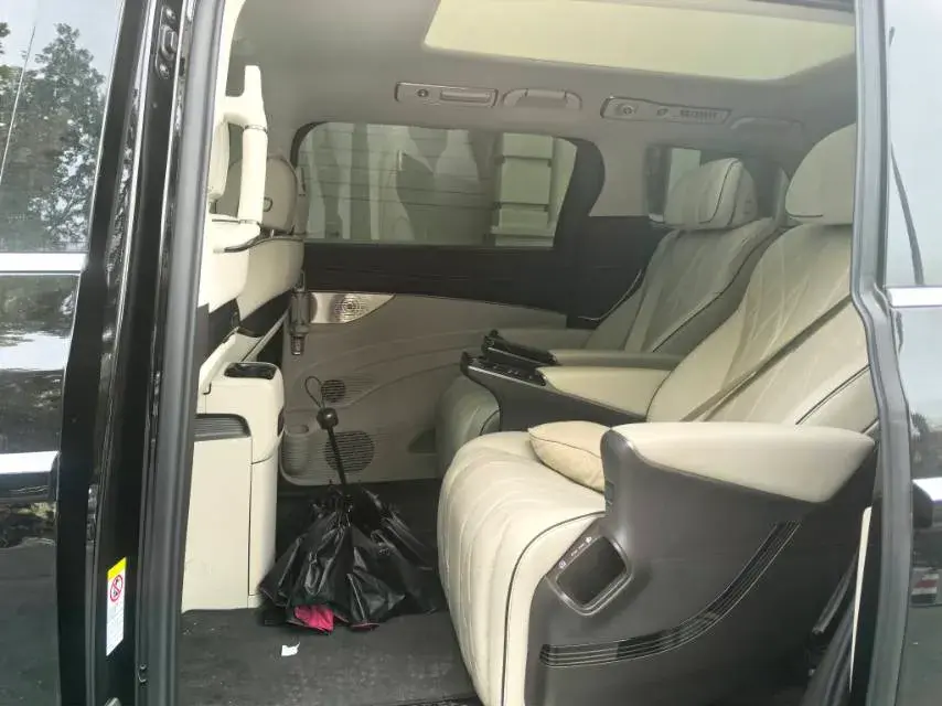 2024 DENZA D9 thumbnail 2