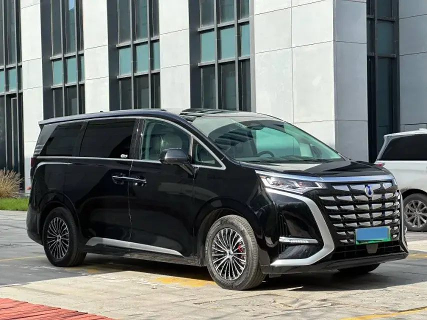 2022 DENZA D9 thumbnail 3