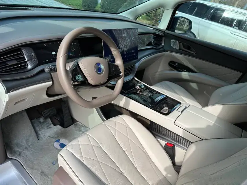 2022 DENZA D9 thumbnail 4