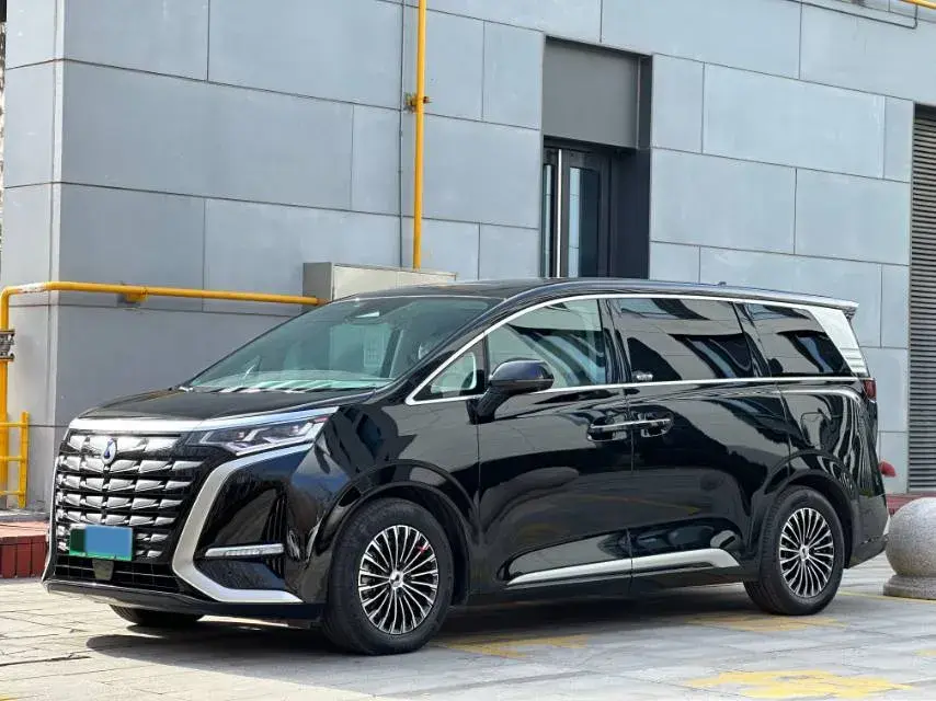 2022 DENZA D9 view 1