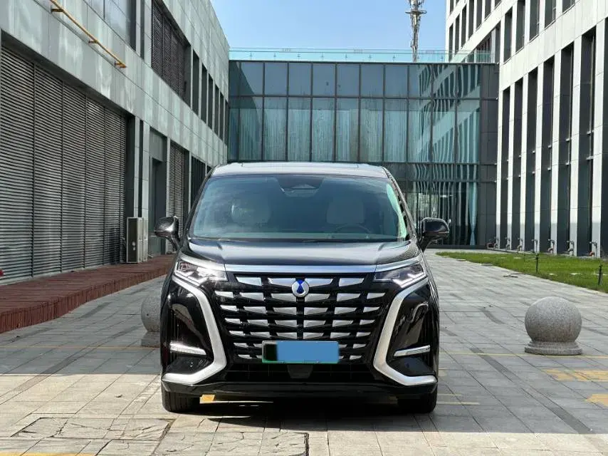 2022 DENZA D9 thumbnail 2