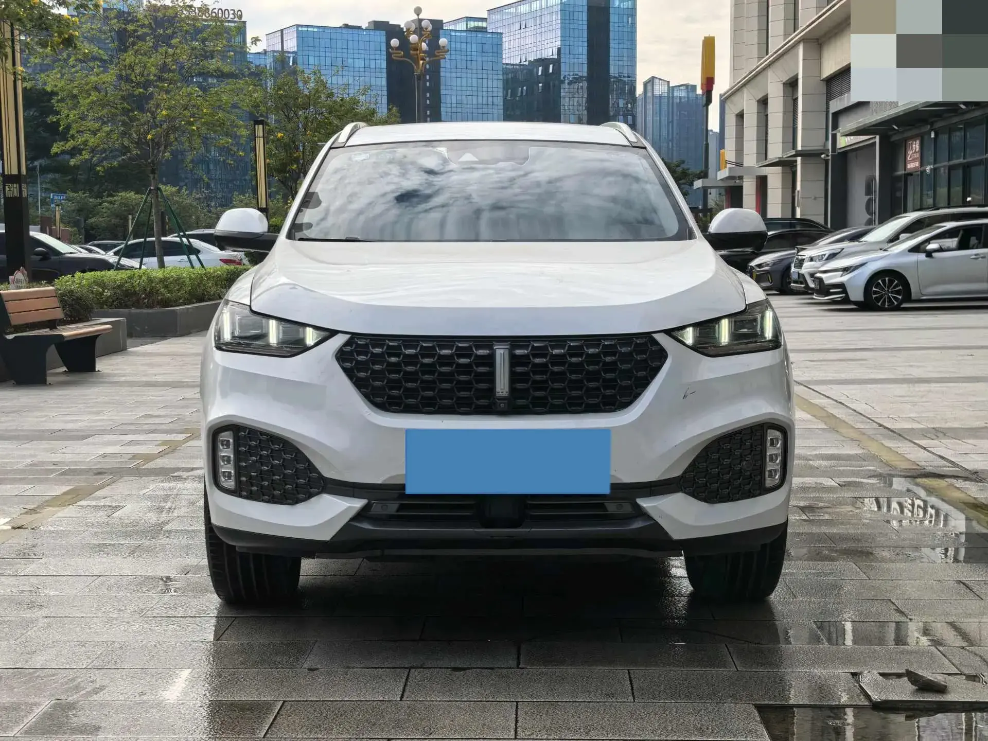 2020 WEY VV6 thumbnail 3