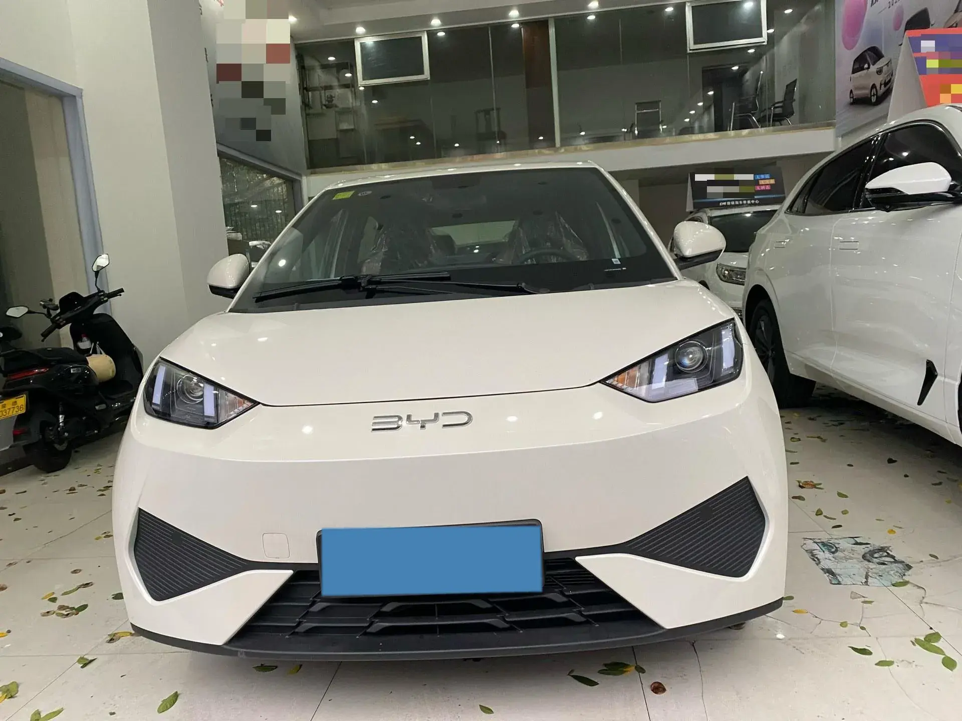 2025 BYD SEAGULL thumbnail 2