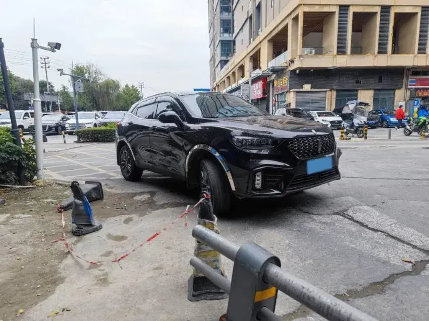 2020 WEY VV5 thumbnail 3