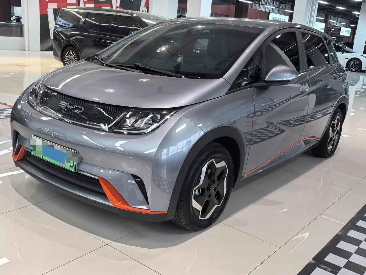 2021 BYD Dolphin BEV 44.9KWH