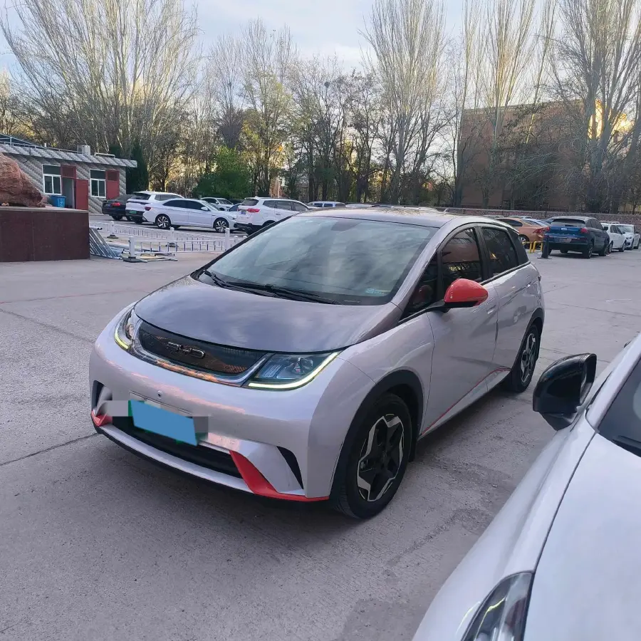 2021 BYD Dolphin BEV 44.9KWH
