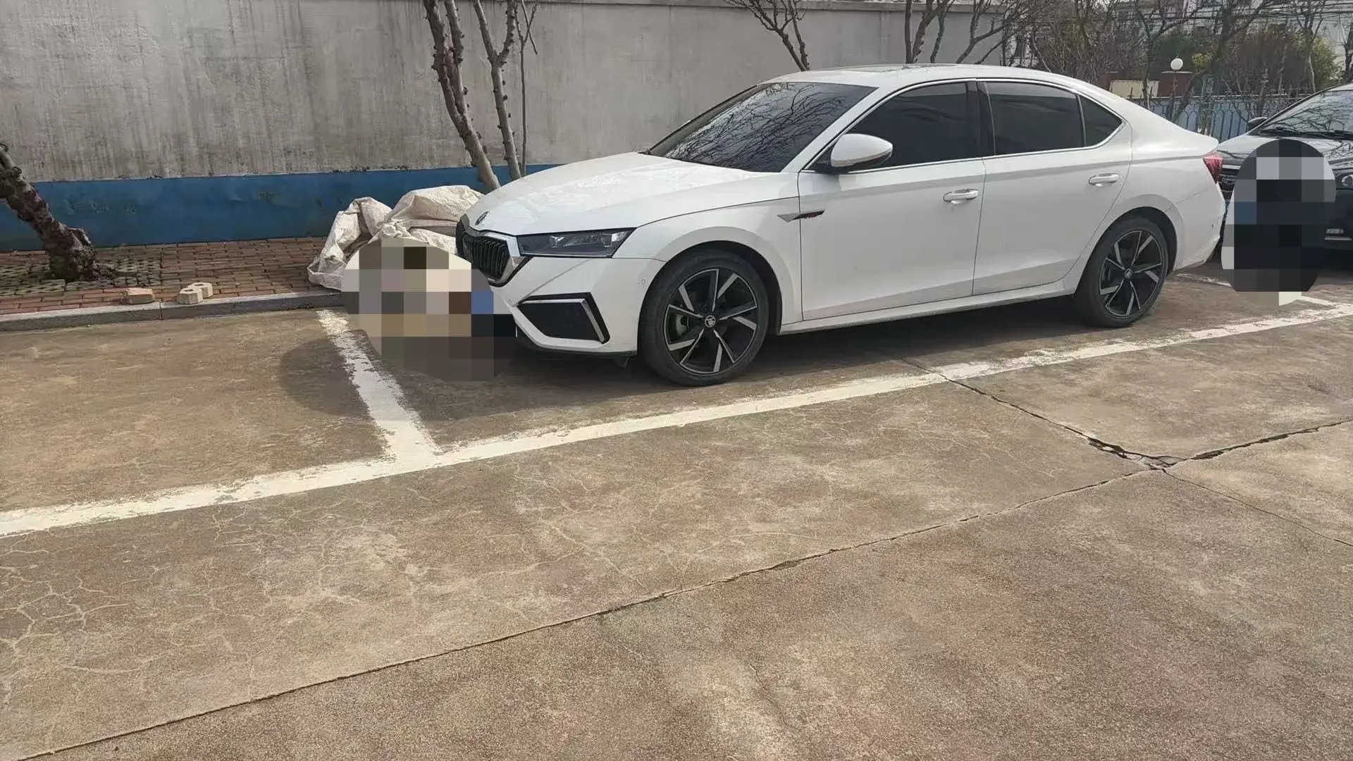 2022 SKODA OCTAVIA thumbnail 3