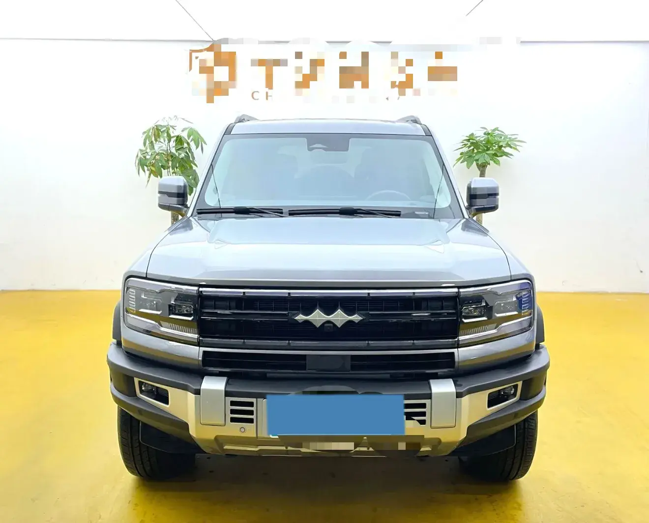 2023 FANGCHENGBAO BAO thumbnail 2